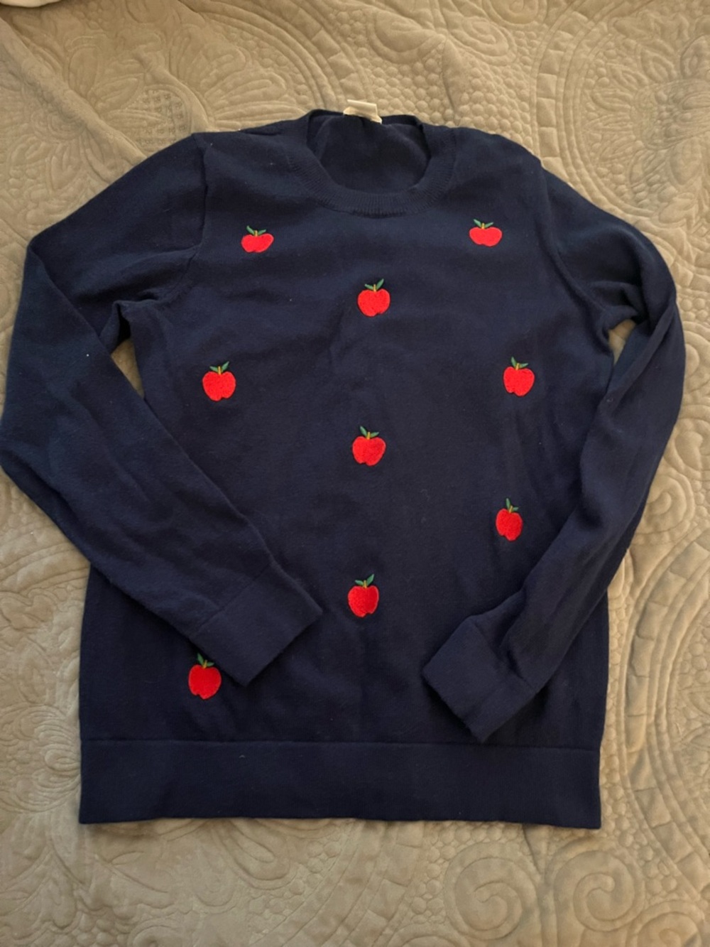 Crewcuts Navy Sweater with Red Apple Embroidery